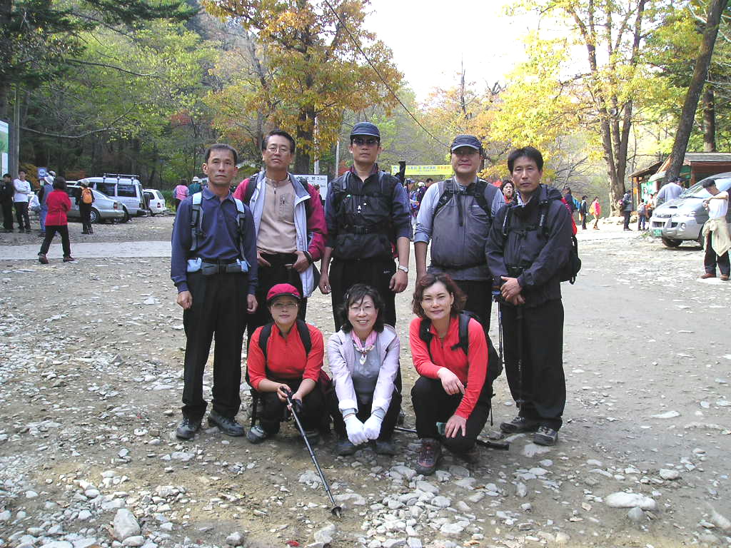 단체