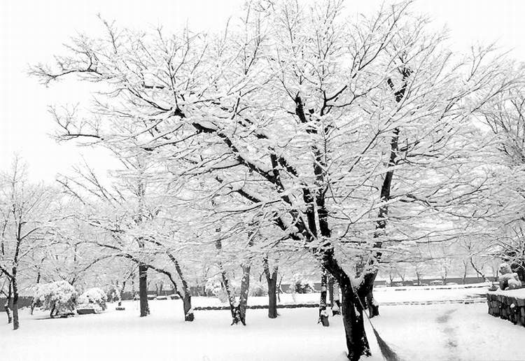snow