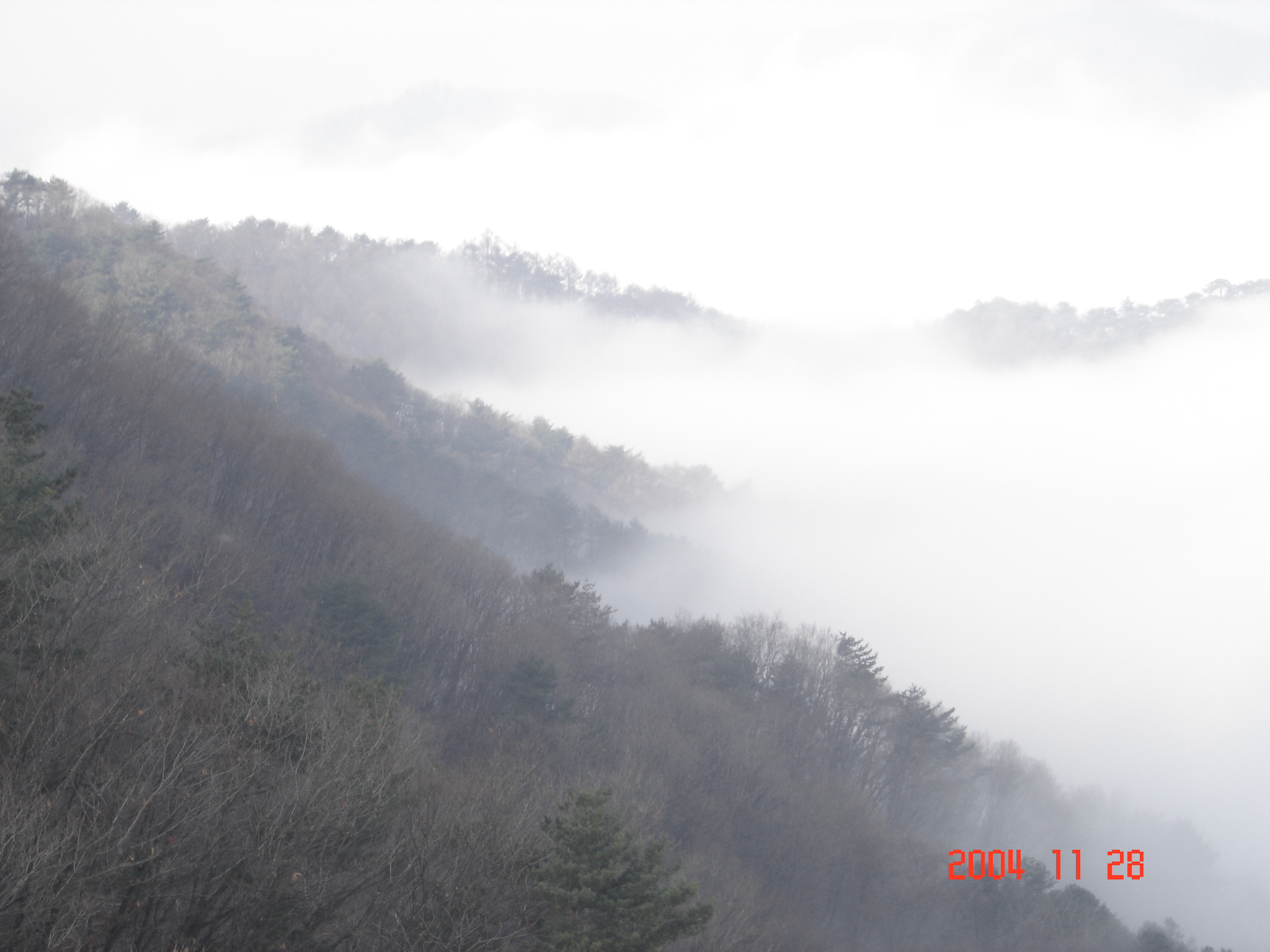 산수화 1
