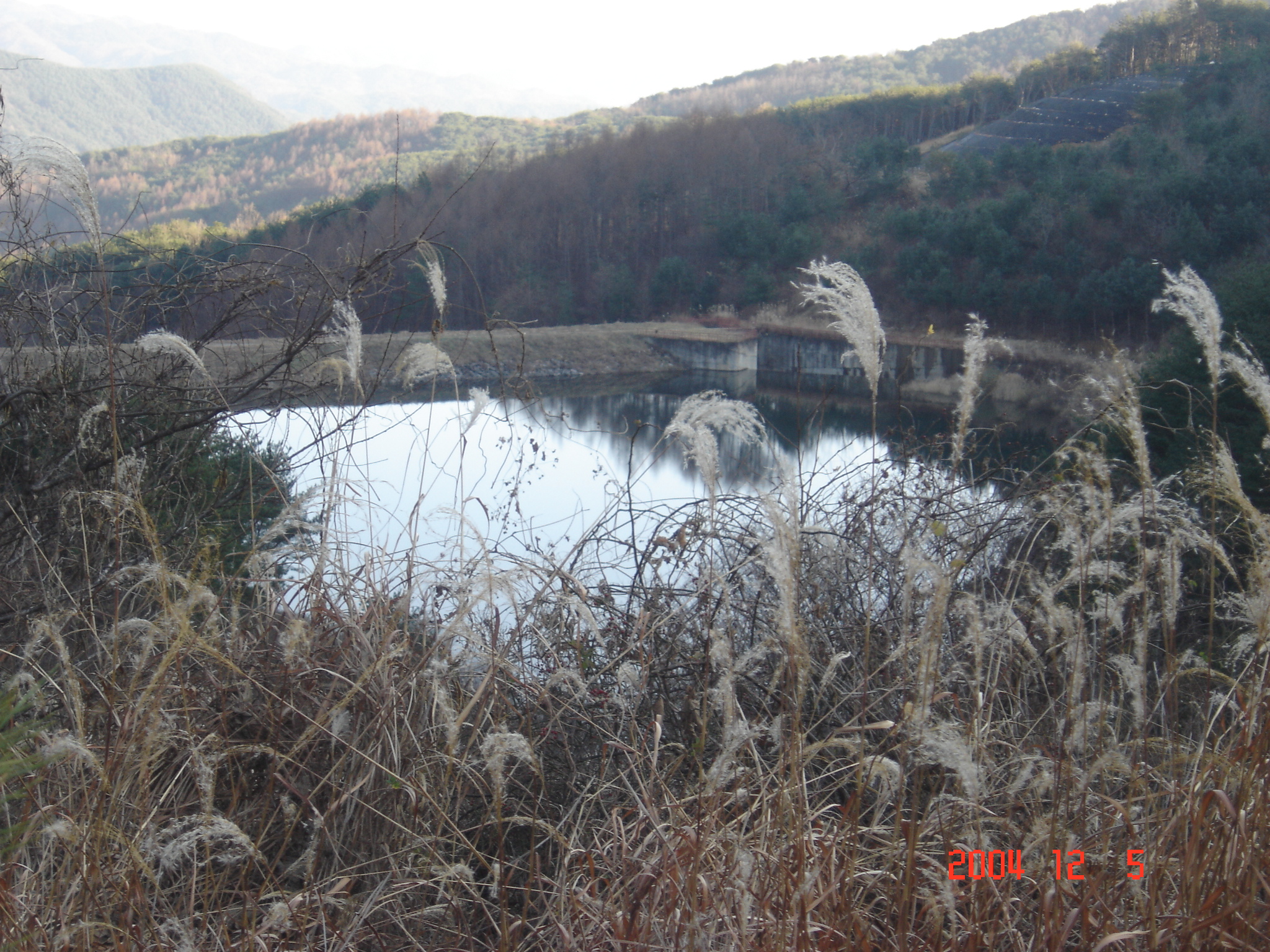 저수지