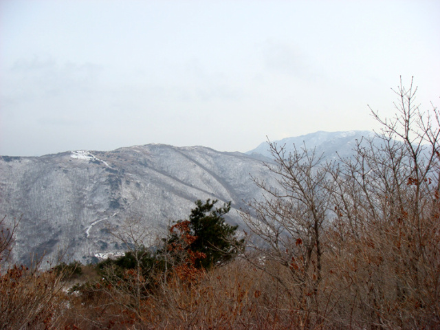 배내 삼거리 이미지