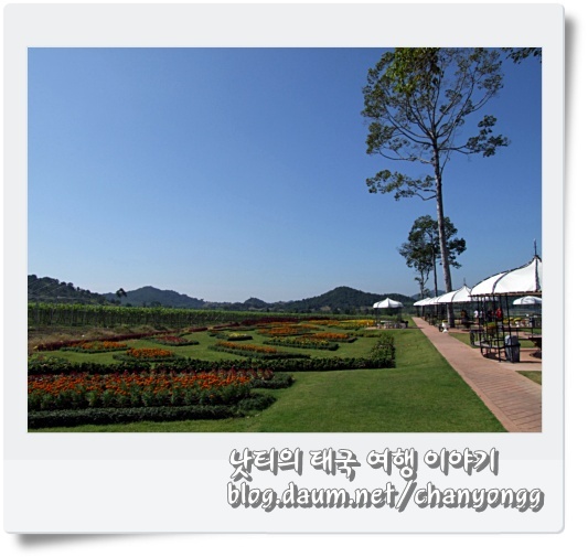 실버레이크 이미지