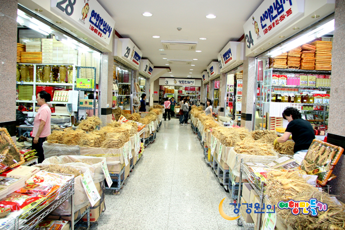 천년인삼 이미지