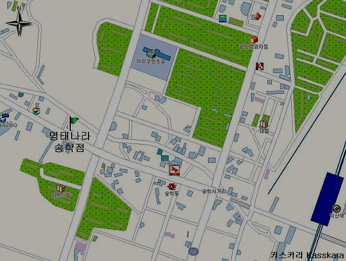명태나라 이미지