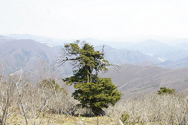 丁亥年 太白山行 2007-04-29