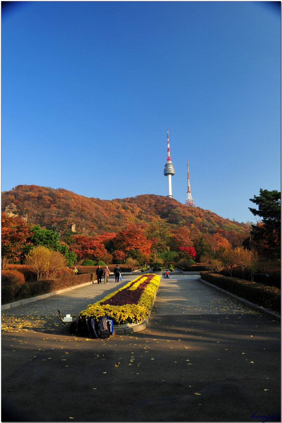 남산 이미지