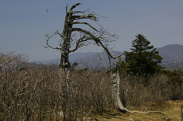 丁亥年 太白山行 2007-04-29