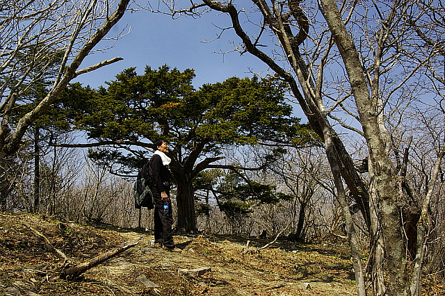 丁亥年 太白山行 2007-04-29