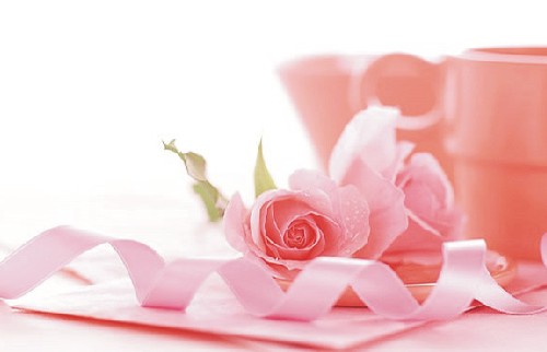RoseDay 이미지