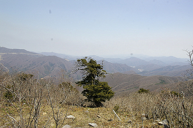 丁亥年 太白山行 2007-04-29