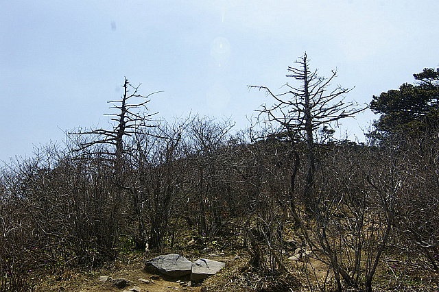 丁亥年 太白山行 2007-04-29