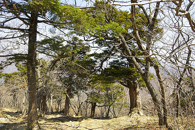 丁亥年 太白山行 2007-04-29