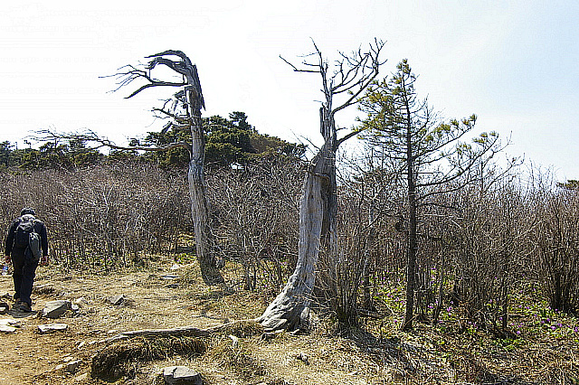 丁亥年 太白山行 2007-04-29