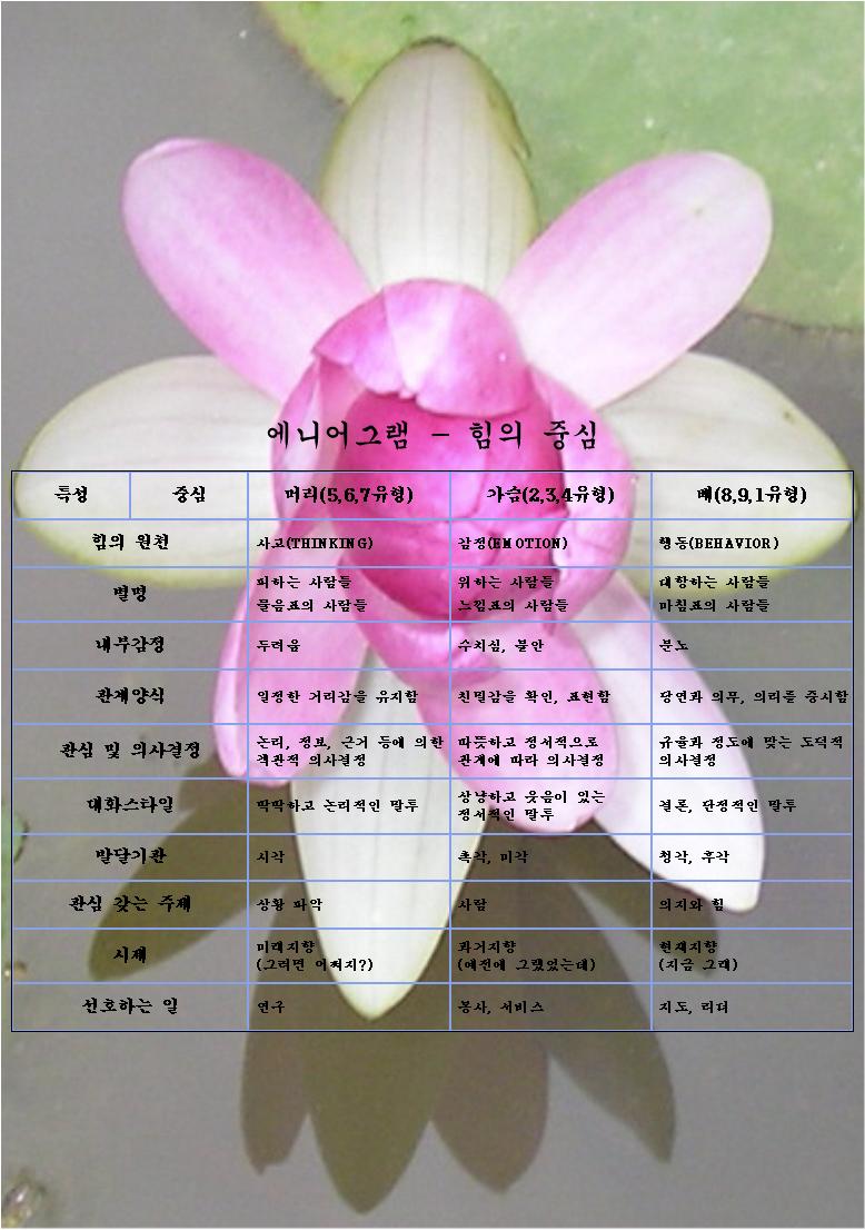 에니어그램심리연구소 이미지
