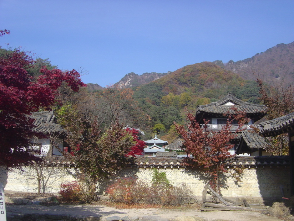 고향의신발 이미지