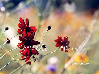 추억으로 듣는.... jazz 모음곡
