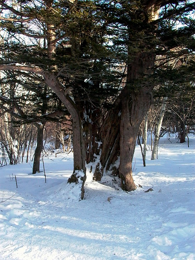 더블클릭을 하시면 이미지를 수정할 수 있습니다