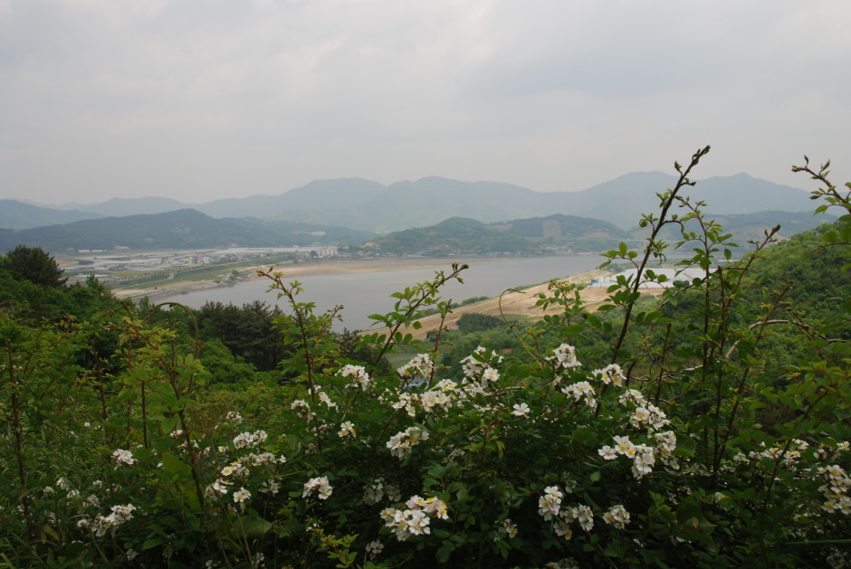 신수다방 이미지