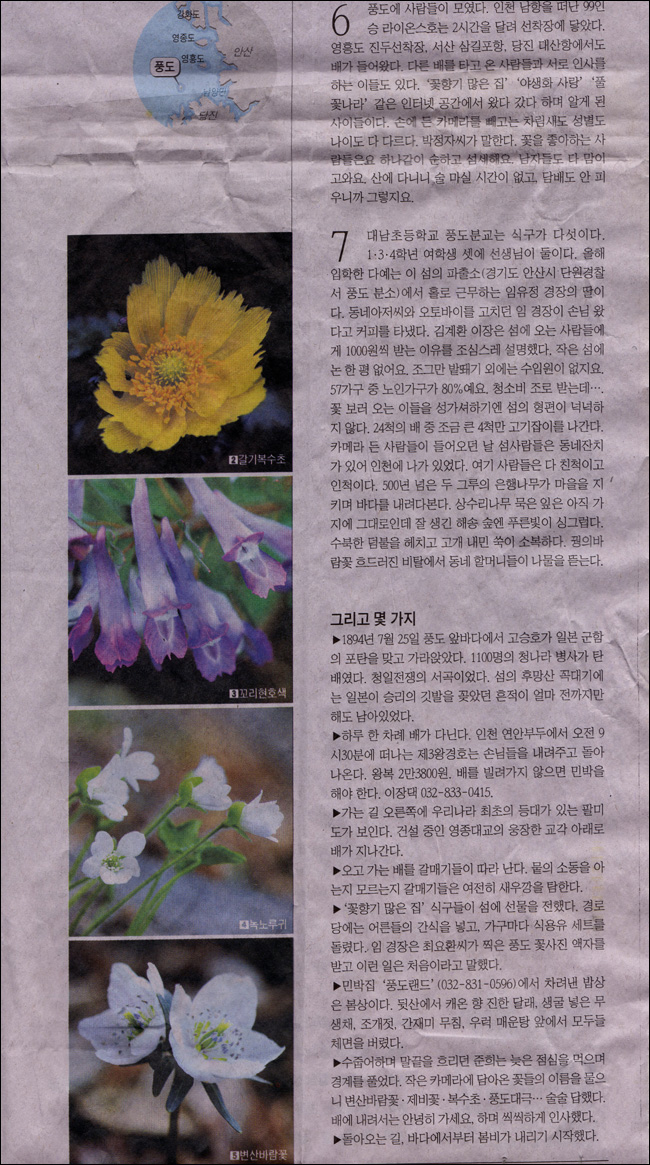 중앙스캔 이미지