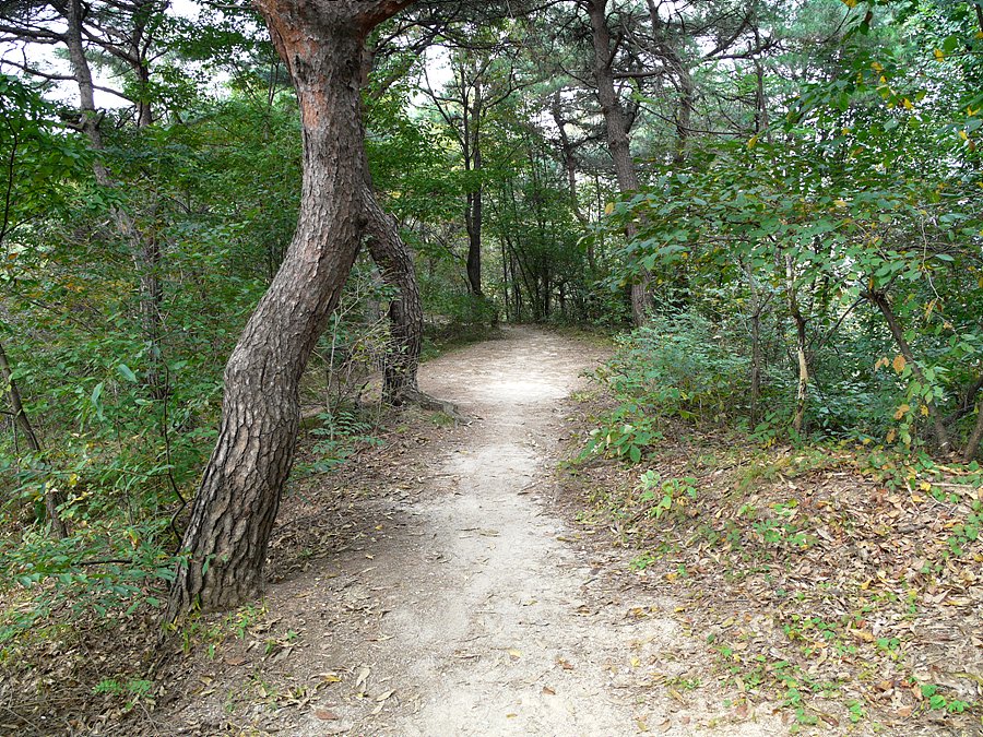 더블클릭을 하시면 이미지를 수정할 수 있습니다