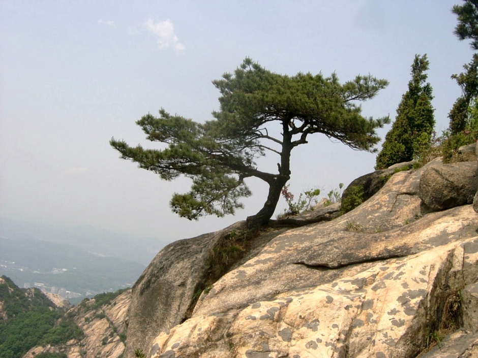 향로봉 부근 이미지