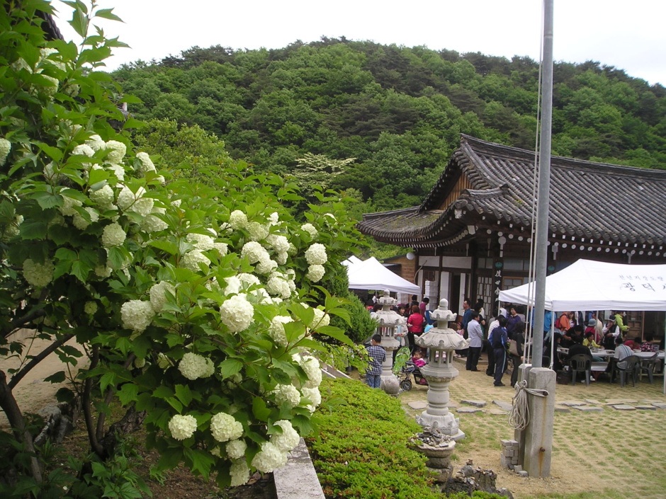 이미지를 클릭하면 원본을 보실 수 있습니다.