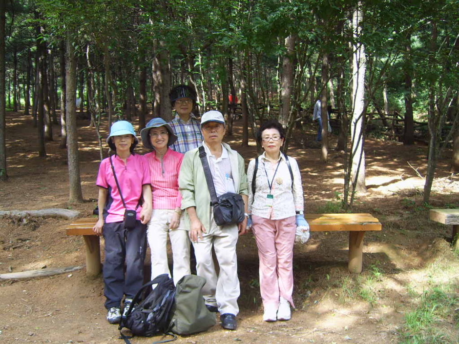 정크린 이미지