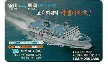 카멜리아 이미지
