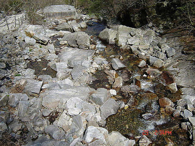 丁亥年 太白山  2007-04-29