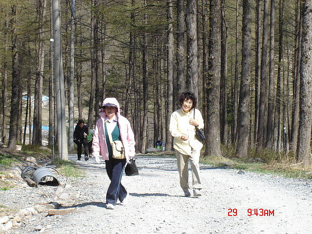丁亥年 太白山  2007-04-29