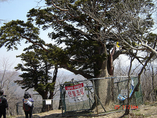 丁亥年 太白山  2007-04-29