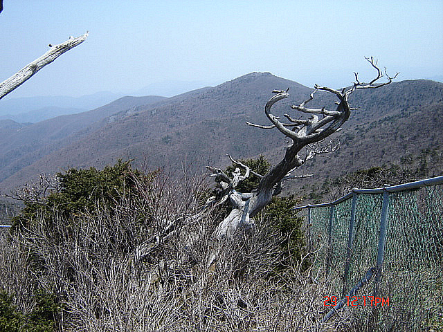 丁亥年 太白山  2007-04-29