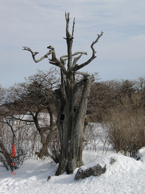  덕유산 산행-2-