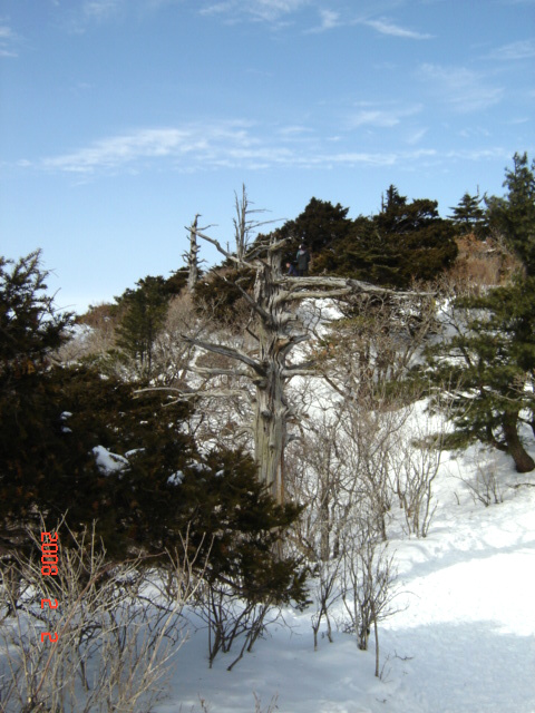  덕유산 산행-2-