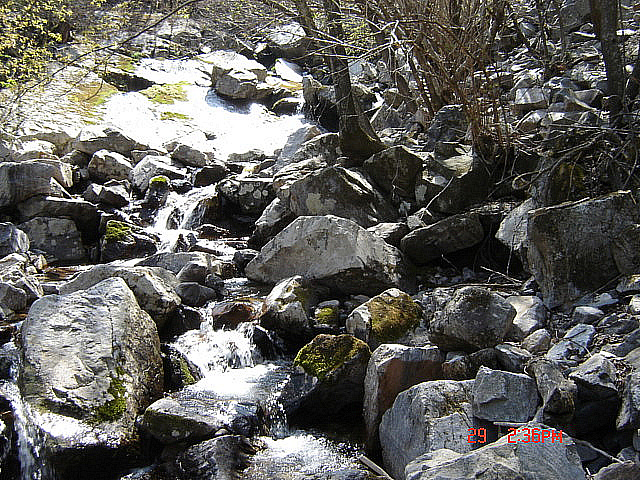 丁亥年 太白山  2007-04-29