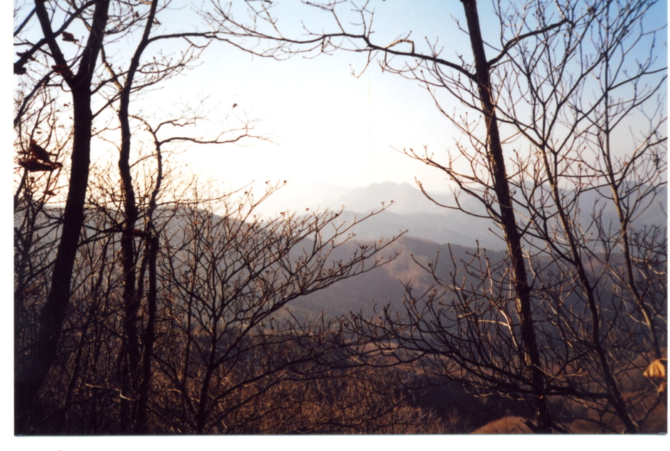 더블클릭을 하시면 이미지를 수정할 수 있습니다
