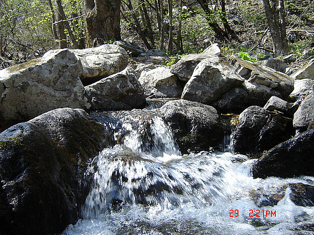 丁亥年 太白山  2007-04-29