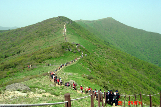 소백산 이미지