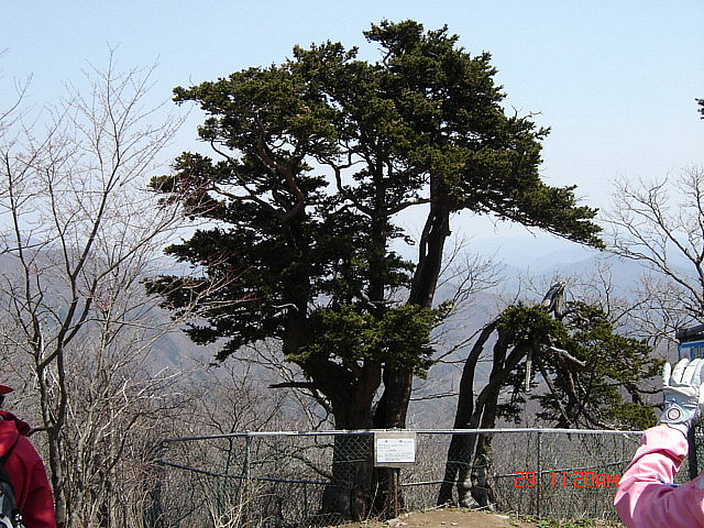 丁亥年 太白山  2007-04-29