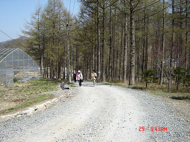丁亥年 太白山  2007-04-29