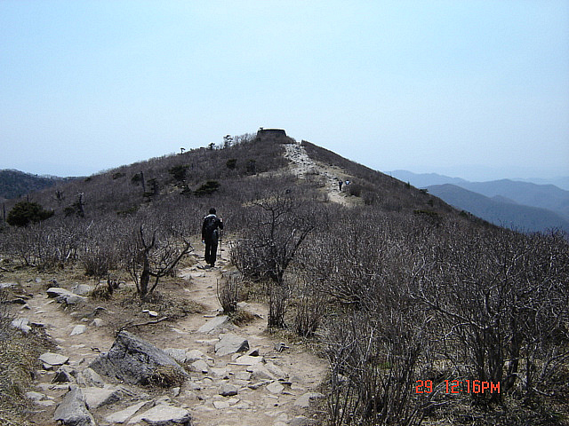 丁亥年 太白山  2007-04-29