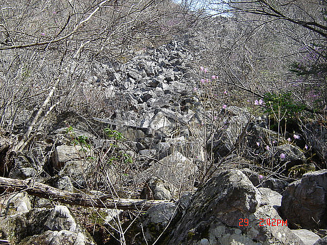 丁亥年 太白山  2007-04-29