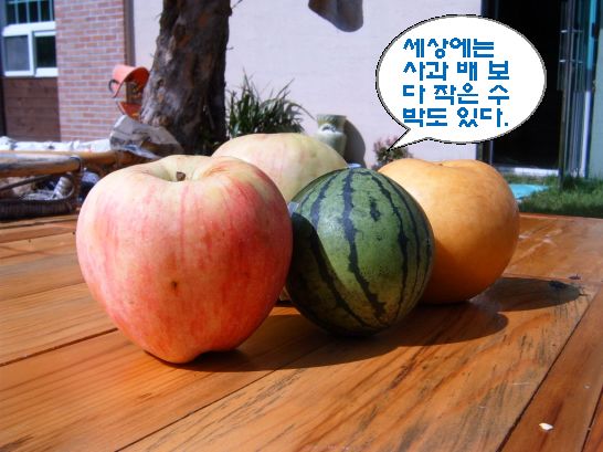 숲속작은나라 이미지