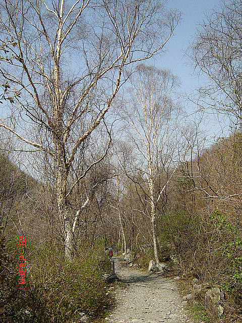 丁亥年 太白山  2007-04-29