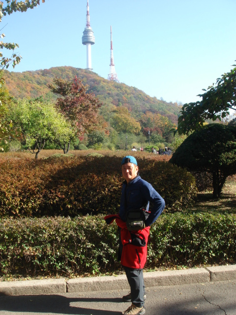 남산 이미지