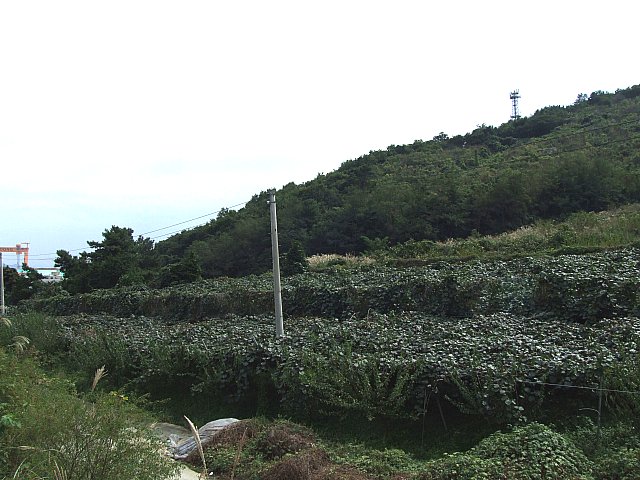 큰밭농원 이미지