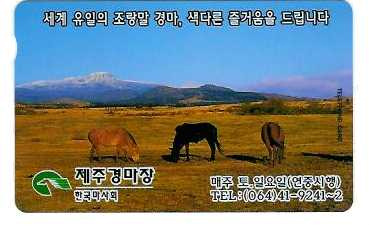 제주관광진흥개발 이미지