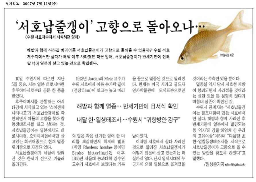 서호 이미지