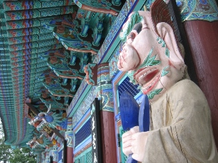 억세 군락지 이미지