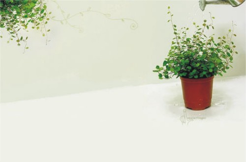 볕이좋은창 이미지